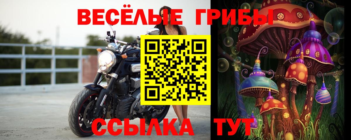 Галлюциногенные грибы MAGIC MUSHROOMS Батайск