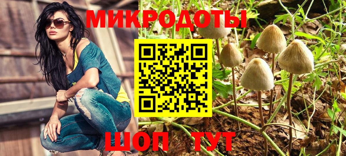 Галлюциногенные грибы мицелий  что такое   Батайск  Псилоцибиновые грибы ЛСД  Вход с VPN 